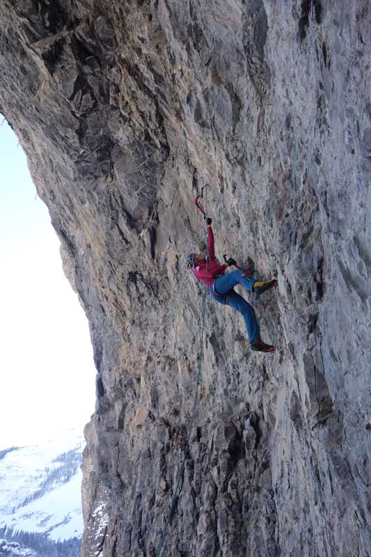 Rebecca Lewis on Adamantium Injection M11