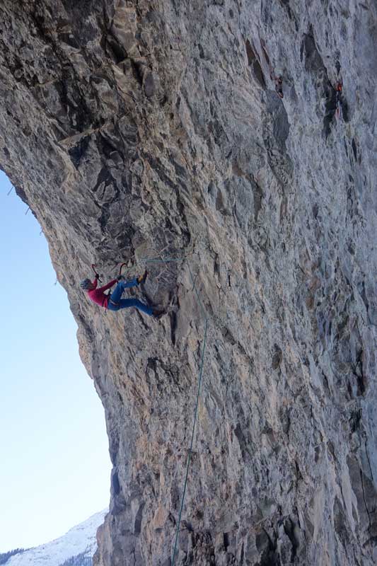 Rebecca Lewis on Adamantium Injection M11